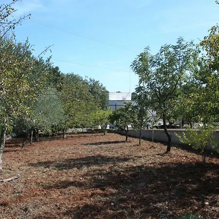 וילה Trullo Aniello *